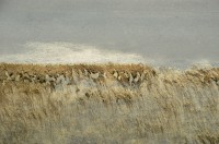 http://www.thierrytalbot.com/files/gimgs/th-7_paysages carenages 49.jpg